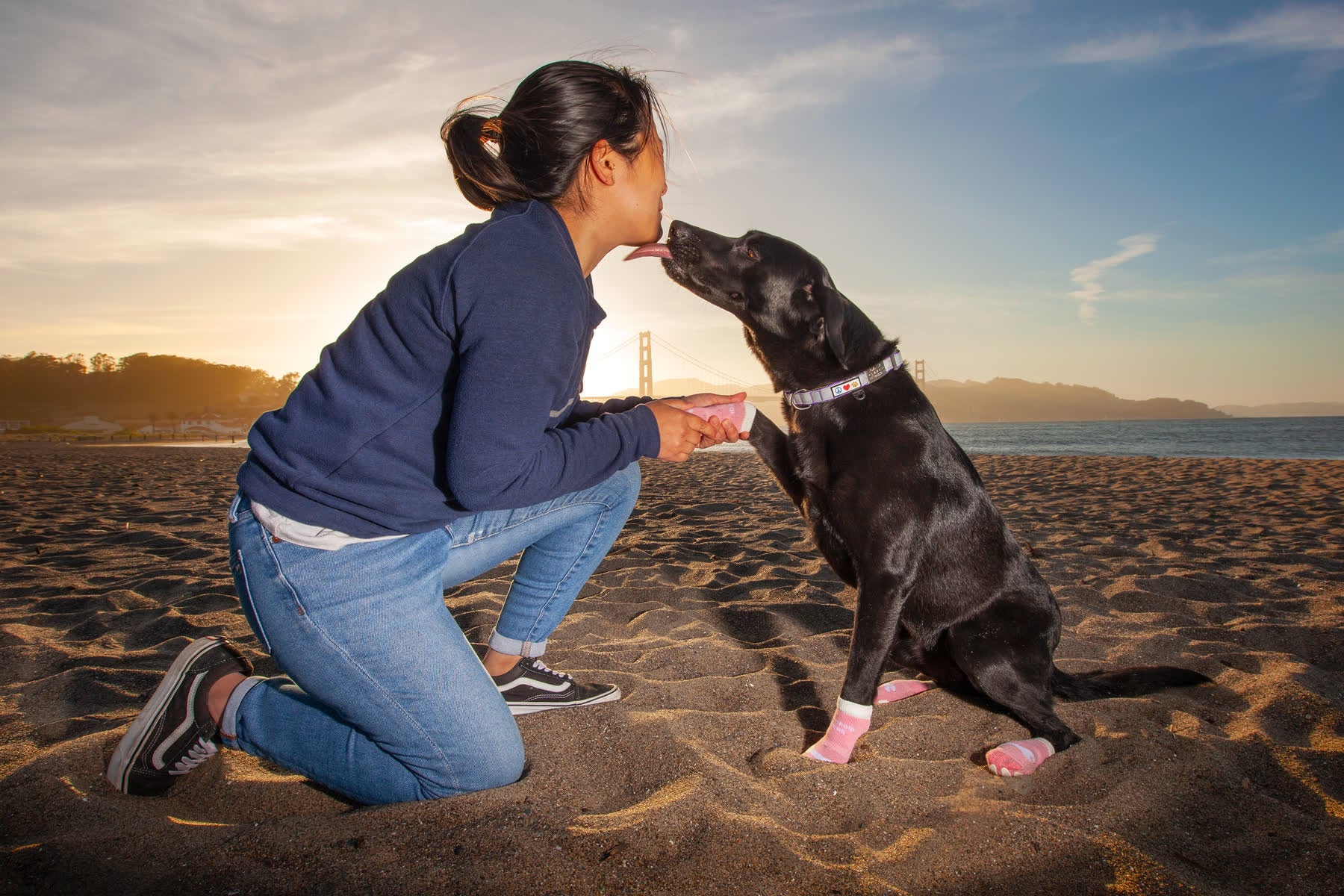 A woman kneeling on the beach at sunset while her black dog in pink socks kisses her