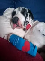 Photo shared by Tawnya (for Ellie who doesn’t type), Citrus Heights, CA