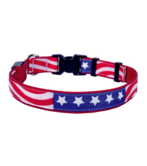 Light Up Collars
