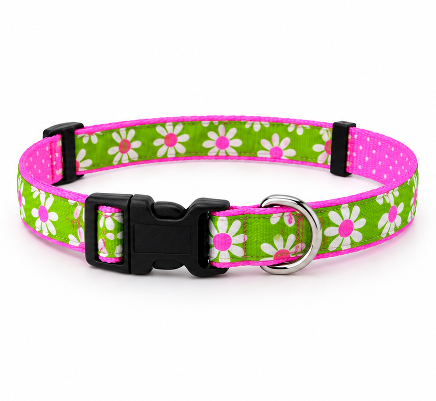Light Up Collars