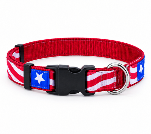 Light Up Collars