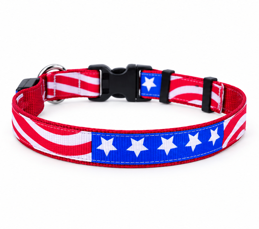 Light Up Collars