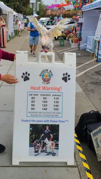 Peaches the parrot perched on a sign at the Los Gatos Art and Wine Festival