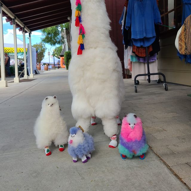 Plush llamas of different sizes wearing socks