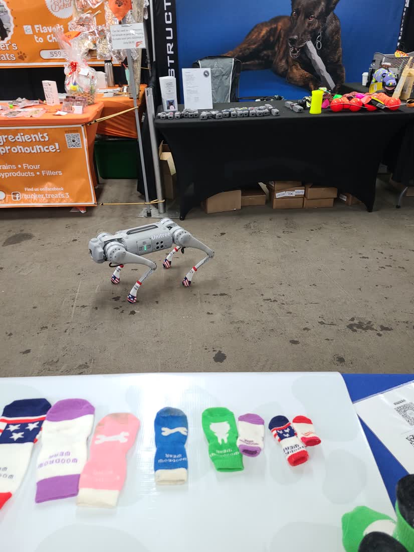 A robot dog wearing Power Paws socks