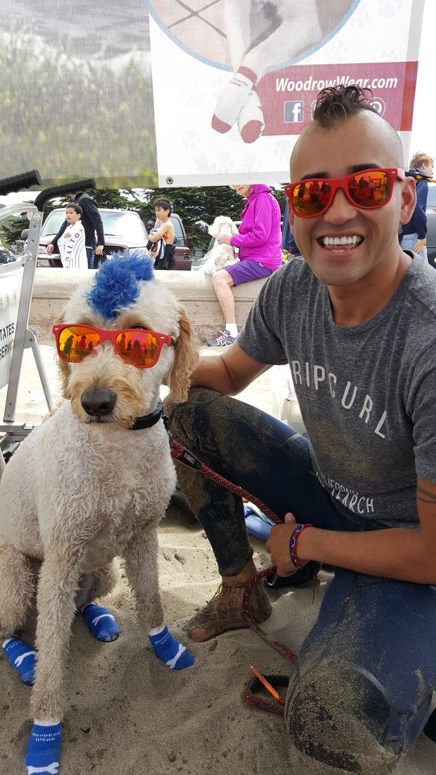 A white poodle in sunglasses and blue socks next to his owner