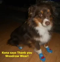 Photo shared by Laurie & Kona