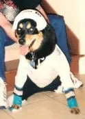 Woodrow dressed as a hockey player for Halloween