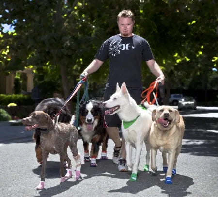 A man walking four dogs on a street, all of them in socks