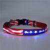 American Flag Dog Light-up Collar